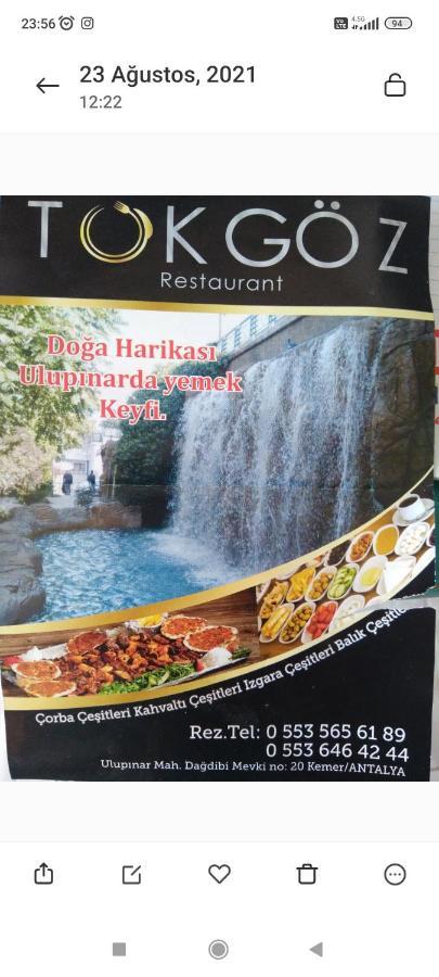 Tokgoez Otel Restaurant Ulupinar Екстериор снимка